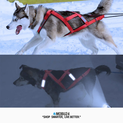 Verstellbares reflektierendes Hunde-Geschirr – Komfortables X-Back-Harness für kleine & große Hunde